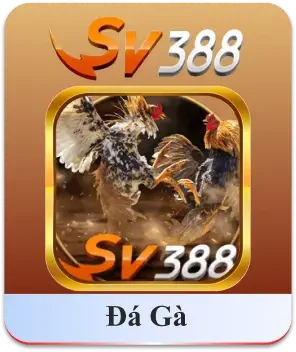 img da ga sv388